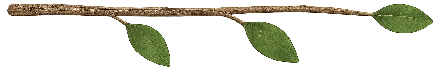 leaf divider